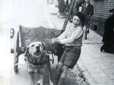 065- Herman Bouwens en zijn Karhond 1954.JPG